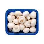 Load image into Gallery viewer, MUSHROOM BOX