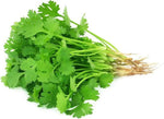 Load image into Gallery viewer, DHANIA (CORIANDER LEAVES) 100gm
