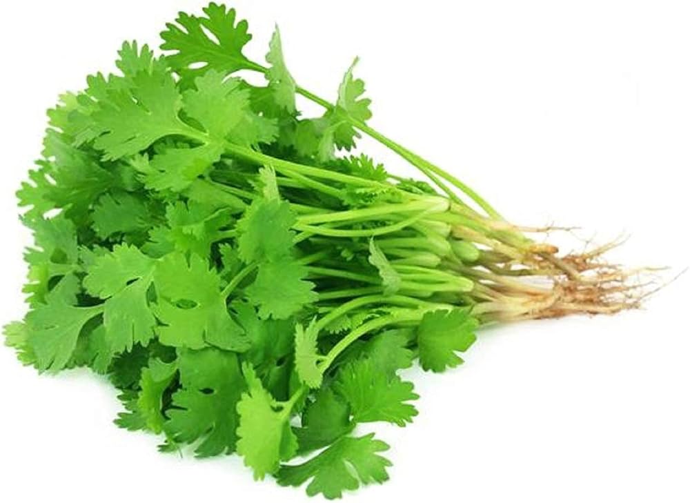 DHANIA (CORIANDER LEAVES) 100gm
