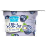 Load image into Gallery viewer, MOTHER DAIRY YOGHURT BLUEBERRY 100GM.
