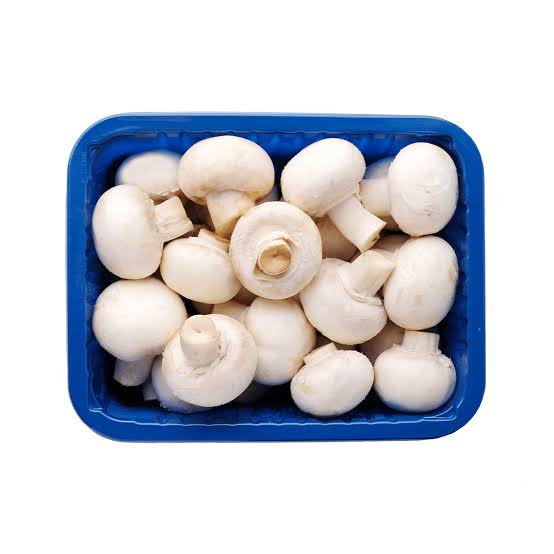 MUSHROOM BOX