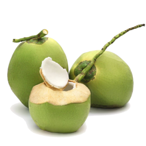 TENDER COCONUT (FRESH)